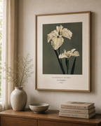 Iris Kaempferi Print, Ogawa Kazumasa 1896, Japanese Botanical Art