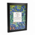 Art + Remembrance Condolence Cards | Set of 6