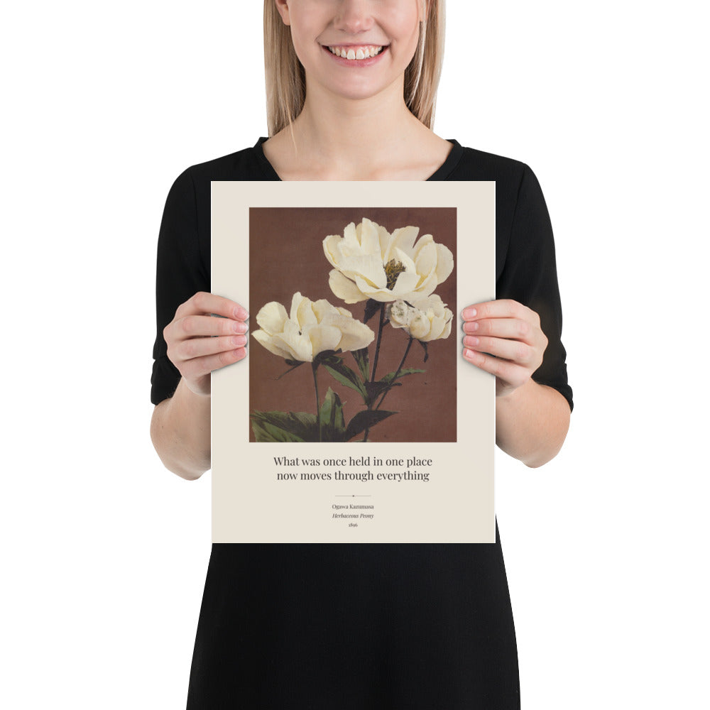 Ogawa Kazumasa, Herbaceous Peony, 1896 Art Print