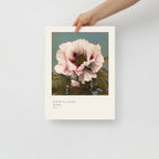 Tree Peony Print, Ogawa Kazumasa 1896, Japanese Botanical Art