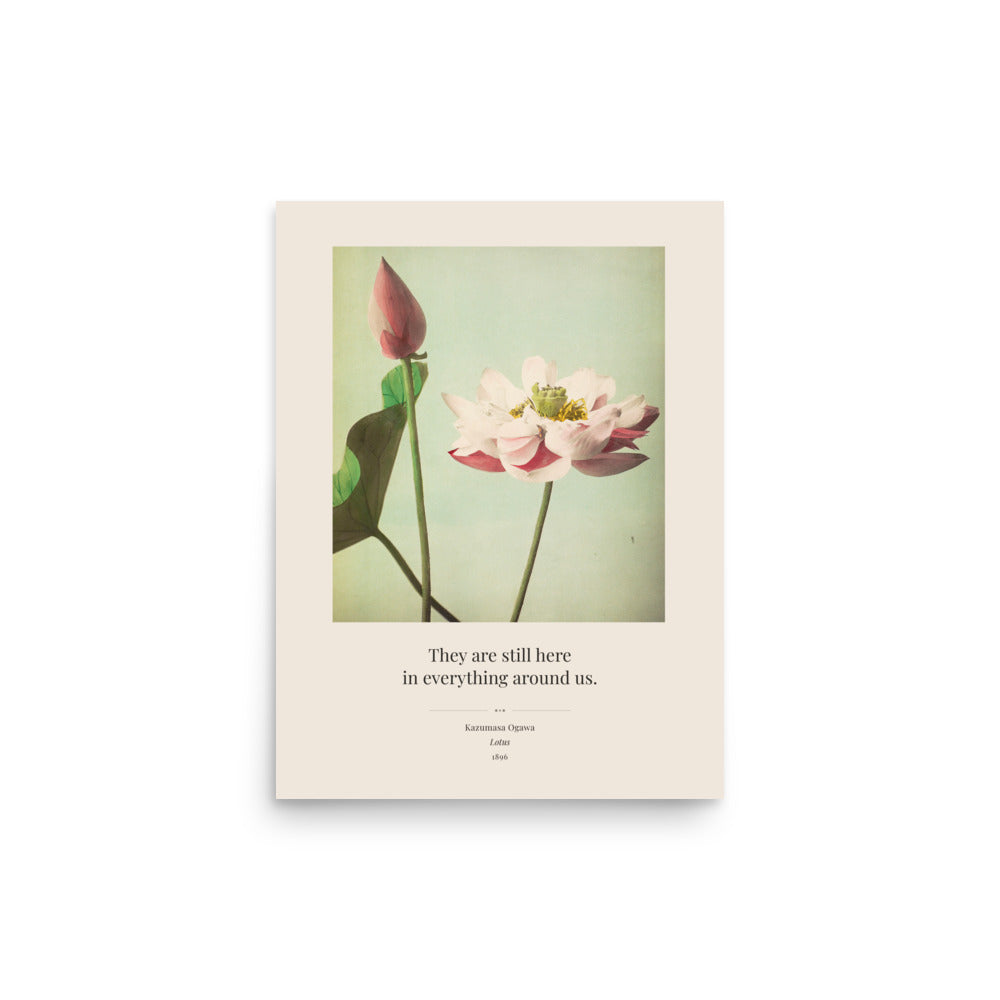 Ogawa Kazumasa — Lotus, 1896 Art Print