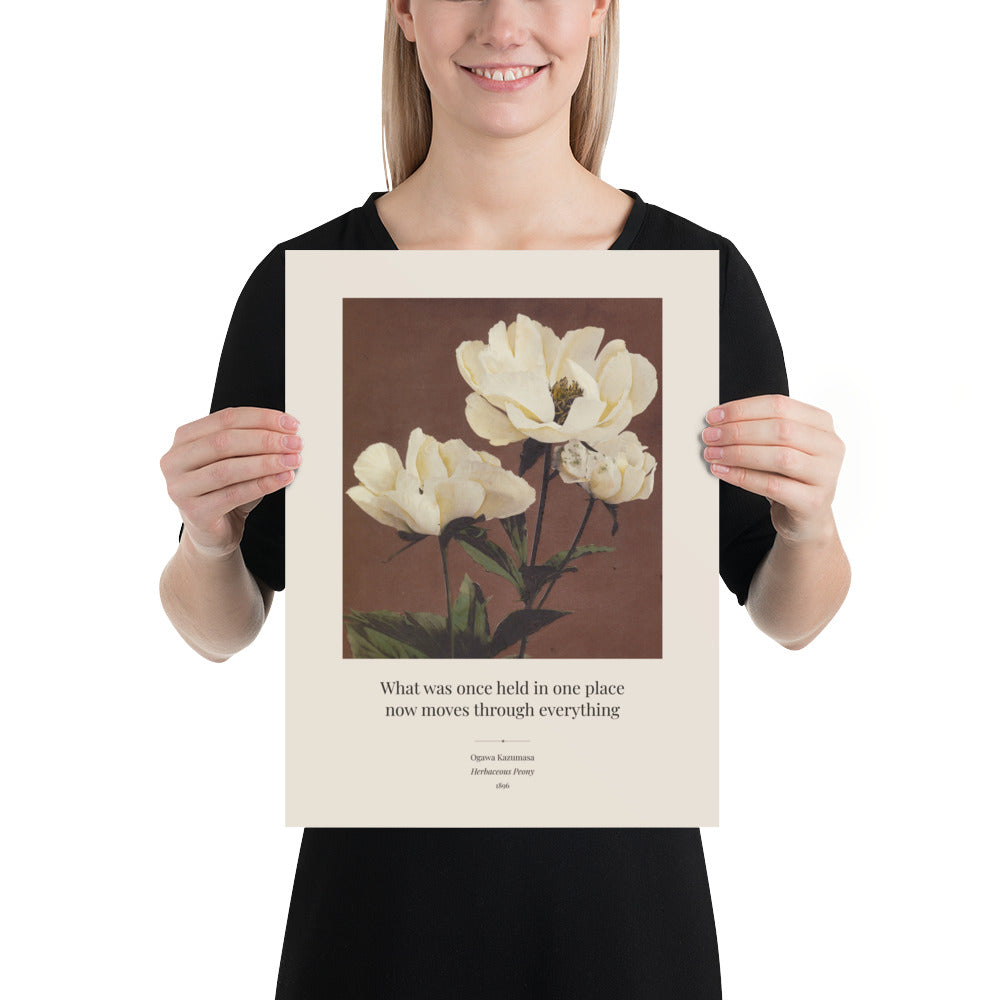 Ogawa Kazumasa, Herbaceous Peony, 1896 Art Print