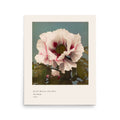 Tree Peony Print, Ogawa Kazumasa 1896, Japanese Botanical Art