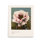 Tree Peony Print, Ogawa Kazumasa 1896, Japanese Botanical Art