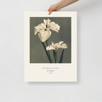 Iris Kaempferi Print, Ogawa Kazumasa 1896, Japanese Botanical Art
