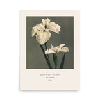 Iris Kaempferi Print, Ogawa Kazumasa 1896, Japanese Botanical Art