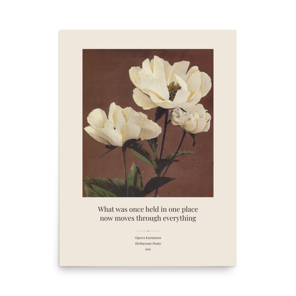 Ogawa Kazumasa, Herbaceous Peony, 1896 Art Print