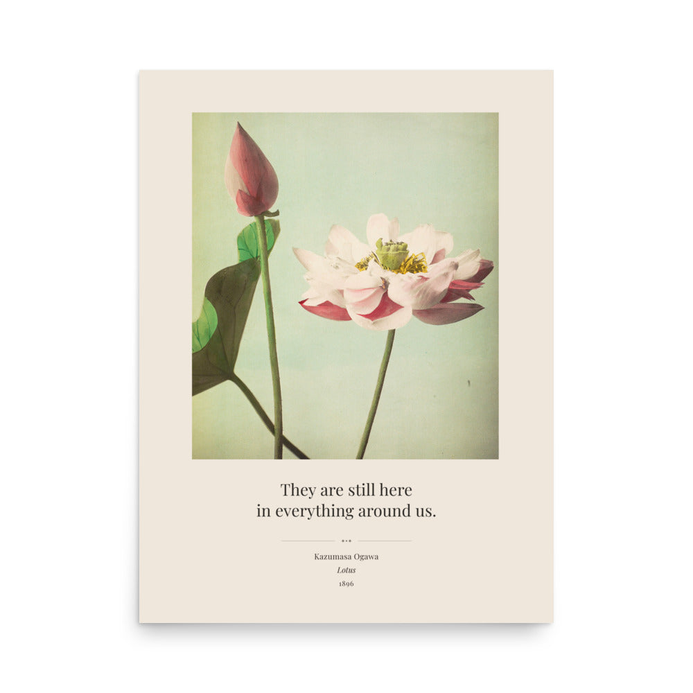 Ogawa Kazumasa — Lotus, 1896 Art Print