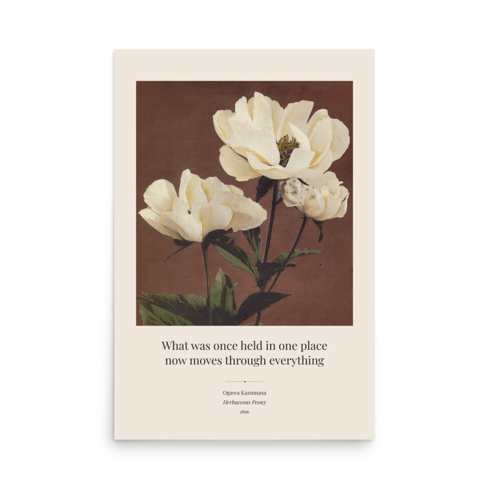Ogawa Kazumasa, Herbaceous Peony, 1896 Art Print