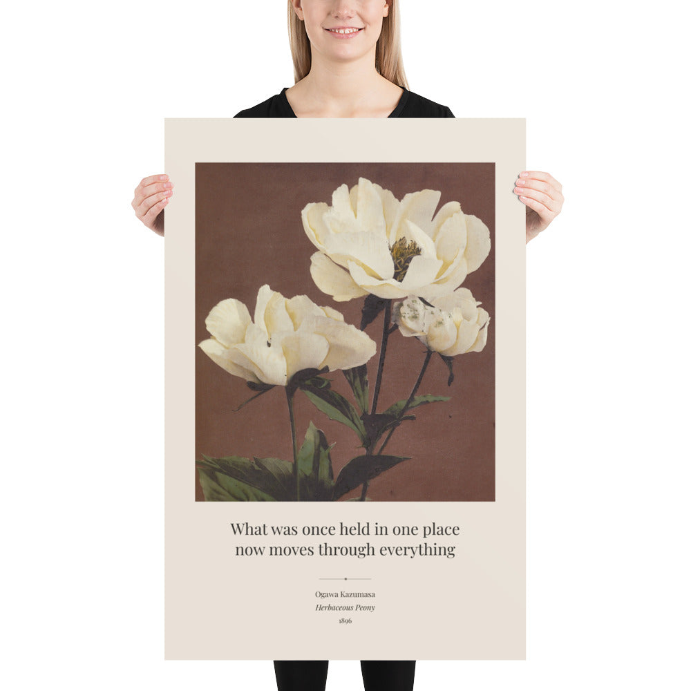 Ogawa Kazumasa, Herbaceous Peony, 1896 Art Print