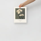 Iris Kaempferi Print, Ogawa Kazumasa 1896, Japanese Botanical Art