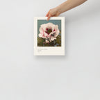 Tree Peony Print, Ogawa Kazumasa 1896, Japanese Botanical Art