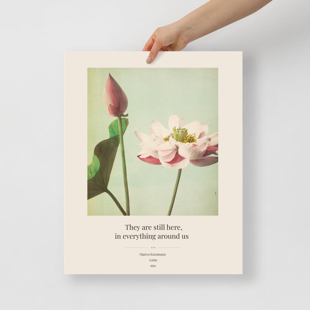 Ogawa Kazumasa — Lotus, 1896 Art Print